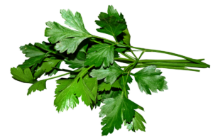 parsley, leaves, nature, cooking, food, herbs, ingredient, cut out, isolated
