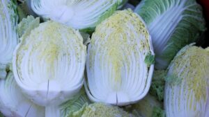 chinese cabbage, vegetable, harvest, produce, healthy, food, nutrition, organic, fresh, cabbage, ingredient, kimjang, chinese cabbage, chinese cabbage, chinese cabbage, chinese cabbage, chinese cabbage