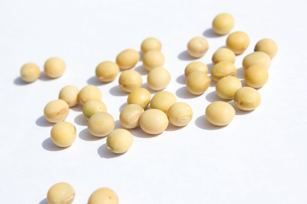 Galleria foto 'Natto' - foto 3