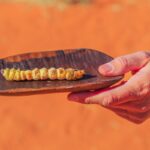 Witchetty Grub: la prelibatezza australiana che sorprende i palati