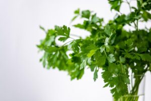 parsely, green, healthy, meal, plant, food, fresh, vegetables, health, herbs, yummy, bio, vitamins, salad, nature, cook, enjoy the meal, herb, garden, coriander, federation, water, glass