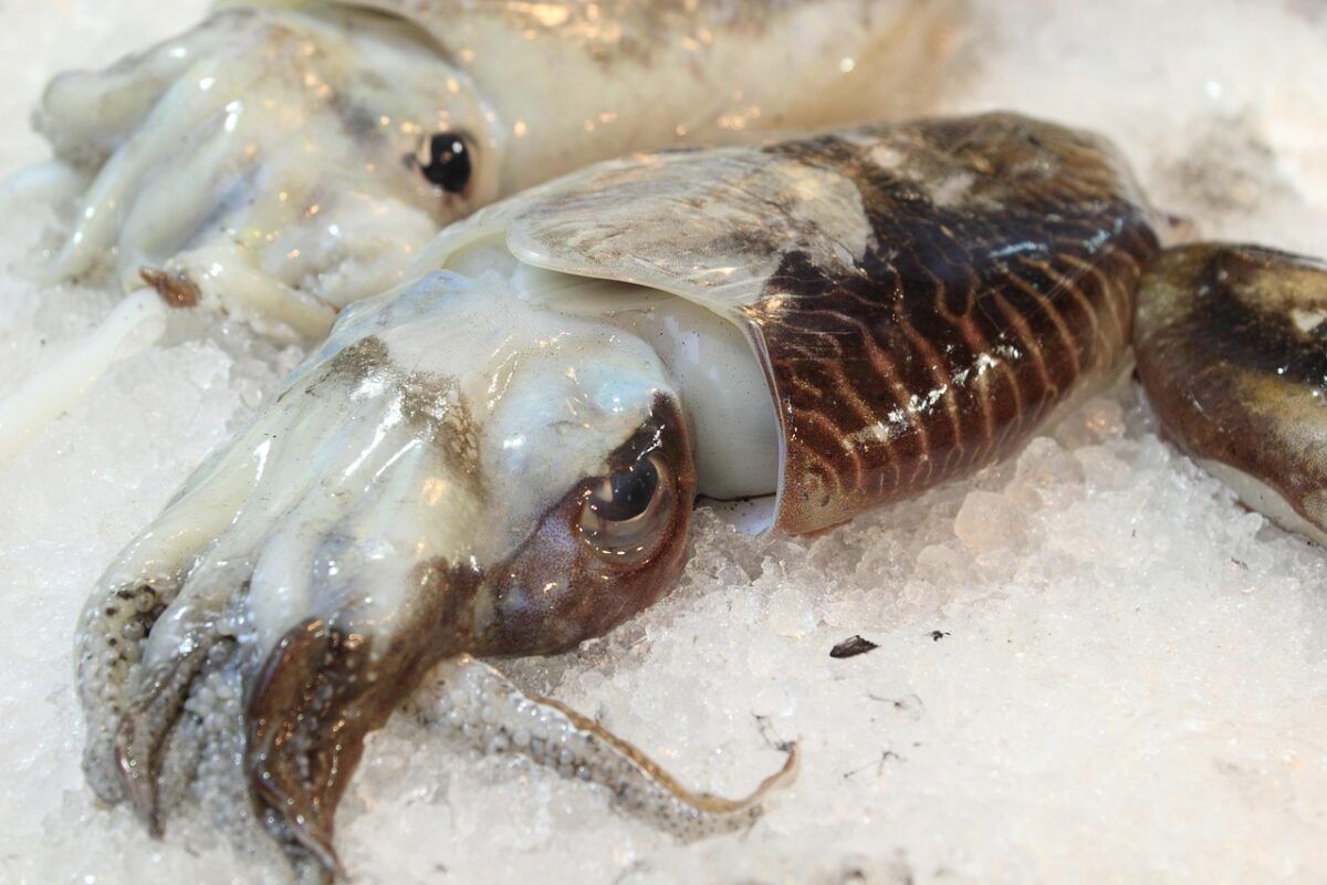 Gnocco di seppia senza patate