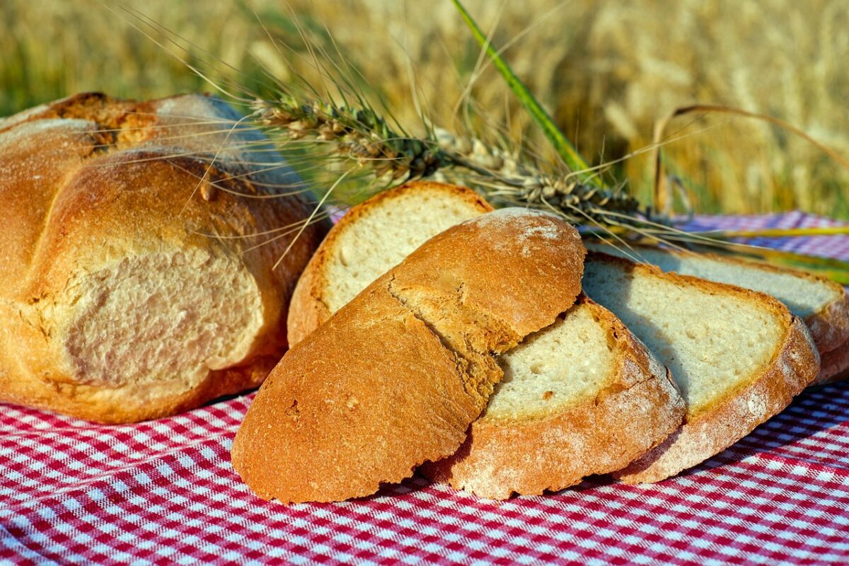 Pane dolce croccante al latte e semi di finocchio